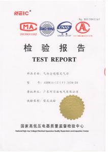 全絕緣充氣柜檢驗(yàn)報告