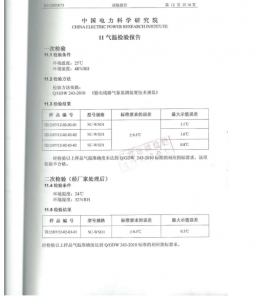 產(chǎn)品檢驗(yàn)報(bào)告