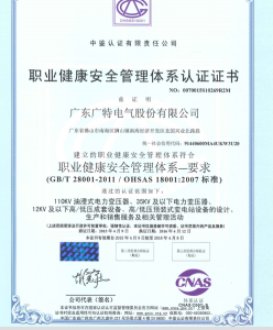 職業(yè)健康安全管理體系認證證書