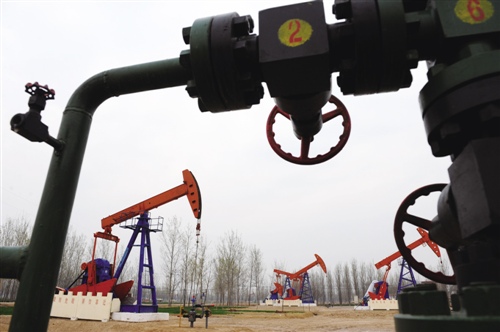 盡管與《行動計劃》有關的文件細則并未隨著發(fā)布會同時公布，但從此次公布的情況來看，要求明顯更加細致，而且也對任務完成的時間有具體的規(guī)定。7月21日，國家能源局召開新聞發(fā)布會，會上除了介紹上半年中國的能源形勢以外，還公布了《能源革命行動計劃》，并對此前發(fā)布的《加快推進天然氣利用的意見》進行解讀