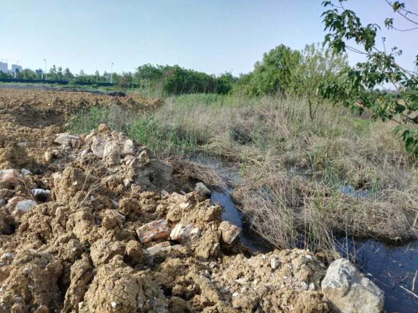 近日，安徽巢湖水華再次爆發(fā)，在室外溫度升高的情況下，巢湖水域高溫與惡臭并存，巢湖流域水環(huán)境保護(hù)形勢(shì)嚴(yán)峻。而這，也成為中央環(huán)境保護(hù)督察組督察安徽省時(shí)關(guān)注的焦點(diǎn)之一