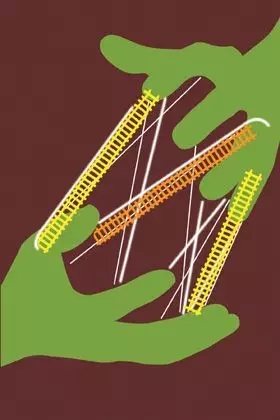 “電力壟斷第一案”的出現(xiàn)有其必然性，它反映出在電力市場(chǎng)化改革的初期，無(wú)論地方政府，還是電力企業(yè)，都沒(méi)有做好充分的準(zhǔn)備。但這樣案例的出現(xiàn)或許并不是壞事，就像青春期的孩子，成長(zhǎng)中的煩惱可能更有利于心智成熟