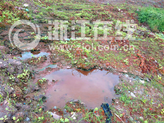 近期，本網(wǎng)不斷接到網(wǎng)友投訴，反映寧波市鎮(zhèn)海區(qū)九龍湖鎮(zhèn)景區(qū)附近有大量未經(jīng)處理的有害污泥，且數(shù)量龐大。網(wǎng)友稱(chēng)：“這些污泥是從2013年下半年開(kāi)始被偷倒過(guò)來(lái)的