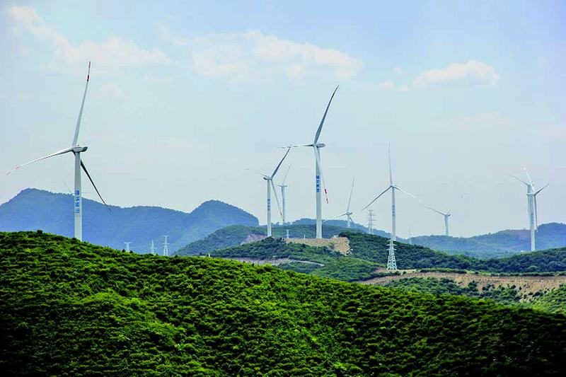 7月10日，蜿蜒起伏的云夢山迎來了盛夏里最美好的時光。剛下過一場雨的山中水霧氤氳，滿目郁郁蔥蔥，五顏六色的野花隨風(fēng)搖曳