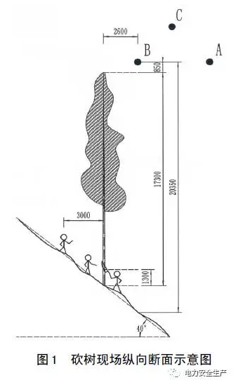  2017年7月30日，廣東電網(wǎng)公司汕尾供電局輸電管理所運(yùn)行人員，在500kV惠茅乙線故障跳閘重合后巡線并進(jìn)行樹障砍伐清理時，因?qū)Ь€對樹木安全距離不夠放電，導(dǎo)致樹下2名員工燒傷，其中1人輕傷，1人受傷較重，均已送院救治。根據(jù)公司事故調(diào)查規(guī)程有關(guān)規(guī)定，初步判斷本次為一起人員重傷事故，最終以相關(guān)醫(yī)療機(jī)構(gòu)出具的人體損傷程度鑒定結(jié)果及調(diào)查分析情況作為本起事故(或事件)的定級依據(jù)