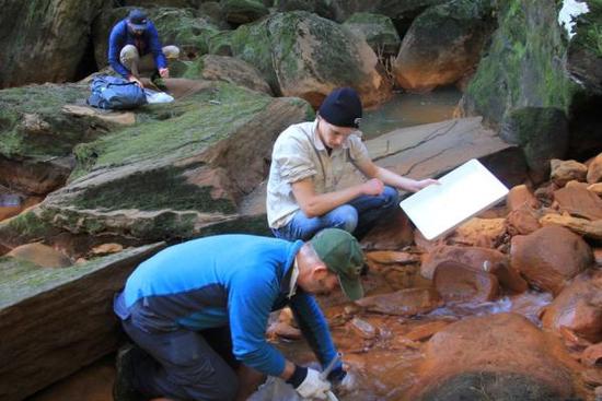 據(jù)澳大利亞廣播公司報(bào)道，位于悉尼南部山區(qū)的一座廢棄煤礦正有數(shù)百萬升高毒性污水流入悉尼飲用水源流域。澳大利亞權(quán)威水質(zhì)專家伊恩˙賴特博士對(duì)廢棄的貝里馬煤礦廢水進(jìn)行了檢測，發(fā)現(xiàn)污染元素包括高酸度、鹽度、鐵濃度和硫酸鹽