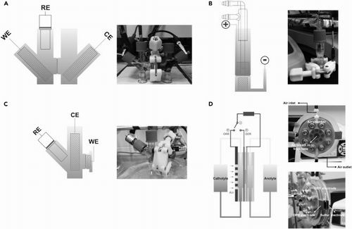 為了減少可再生能源在電網(wǎng)的存儲(chǔ)成本，同時(shí)捕獲更多能源，美國(guó)麻省理工學(xué)院科學(xué)家開發(fā)了一種由硫磺、空氣、水和鹽組成的新電池，成本僅為目前市場(chǎng)上電池的1/100，并且儲(chǔ)能是鉛酸電池的兩倍。相關(guān)成果近日刊登于《焦耳》