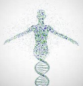 
            	據(jù)麥姆斯咨詢報道，Illumina Ventures是一家獨立且專注于早期風(fēng)險投資的公司，公司宣布為其首個聚焦基因組學(xué)的基金籌集到了2.3億美元資金。該基金將為生命科學(xué)研究、臨床診斷、新型治療平臺和其它能夠影響人類健康的技術(shù)提供支持，幫助它們?nèi)〉猛黄? onError=