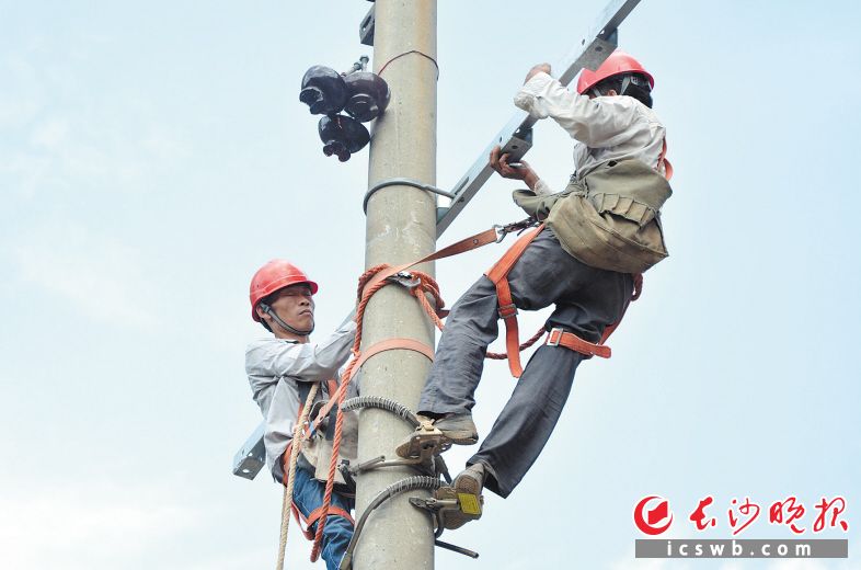 
　　萬(wàn)家燈火的背后，是長(zhǎng)沙電網(wǎng)人的日夜堅(jiān)守。圖為今年7月，國(guó)網(wǎng)長(zhǎng)沙供電公司的電力工人奮戰(zhàn)在電力搶修一線