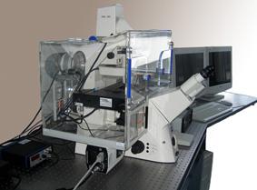 　　廣東深圳再添一項國家重點研發(fā)計劃項目。11月20日，國家重點研發(fā)計劃重大科學(xué)儀器設(shè)備開發(fā)重點專項——“多維快速超分辨成像儀”項目啟動會在深圳航天工業(yè)技術(shù)研究院舉行，該項目有望打破國外技術(shù)壟斷，助力高端生物影像設(shè)備加快國產(chǎn)化