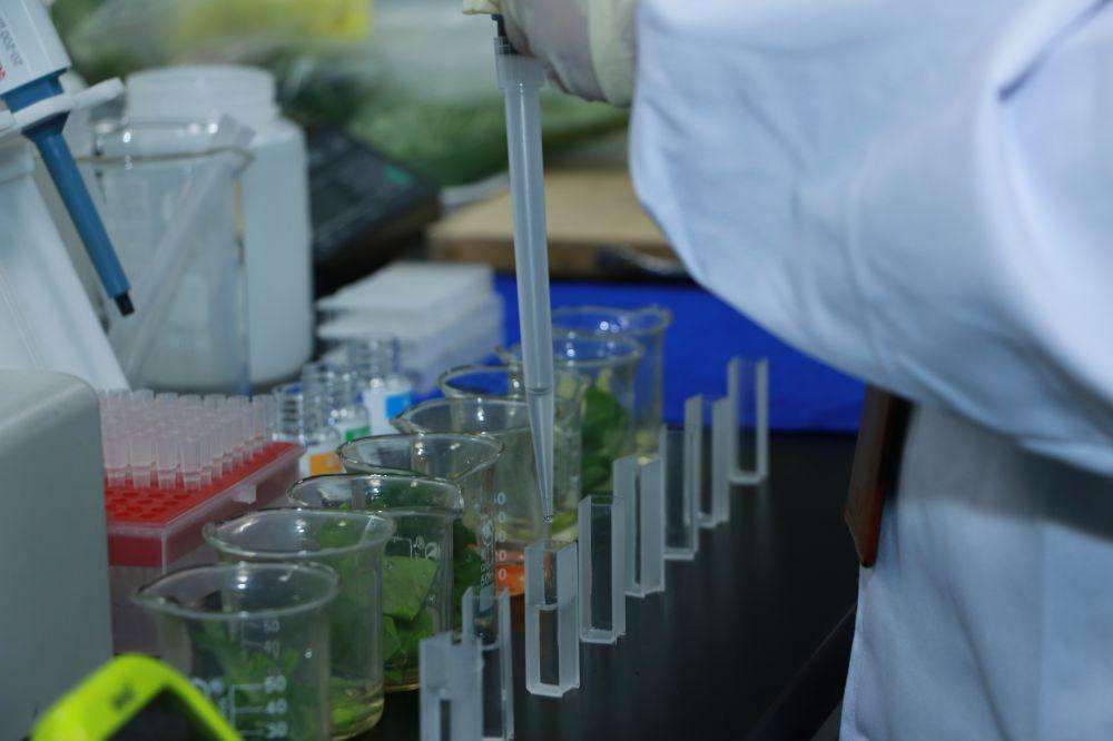 　　11月21日，記者從遼寧沈陽市食品藥品監(jiān)督管理局獲悉，于洪區(qū)以創(chuàng)建國家食品安全示范城市為抓手，在沈陽市56中學(xué)建立了全區(qū)首個學(xué)校食堂食品安全快檢室。  (圖片來自網(wǎng)絡(luò)，侵刪) 　　據(jù)介紹，沈陽市56中學(xué)現(xiàn)有學(xué)生1350人，是一所寄宿制學(xué)校，學(xué)校食堂共三層，面積約7500平方米，供餐任務(wù)較重