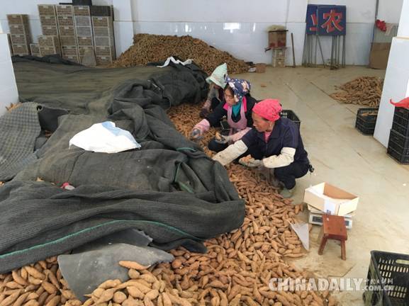 
　　貴州是全國脫貧攻堅的主戰(zhàn)場，2015年，為合力打贏脫貧攻堅戰(zhàn)，大型國有企業(yè)加入了這場攻堅戰(zhàn)里，南方電網(wǎng)成為與貧困縣結(jié)對幫扶的國有企業(yè)之一，牽手貴州省的深度貧困縣——紫云縣。

　　地處麻山腹地的貴州省安順市紫云縣，是全國唯一的苗族布依族自治縣，屬滇桂黔石漠化集中連片特困地區(qū)