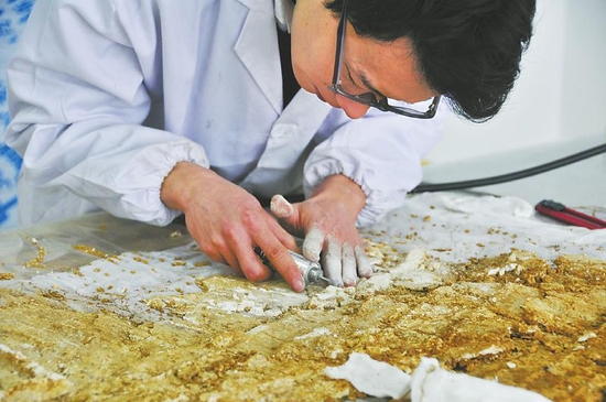 　　12月5日，四川成都文物考古研究院文保中心對(duì)外展示了來(lái)自趙廷隱墓的3處壁畫(huà)。只見(jiàn)清理修復(fù)后的壁畫(huà)呈大塊殘片狀，可以看到色彩頗為鮮麗的鳳鳥(niǎo)、水禽、卷云等