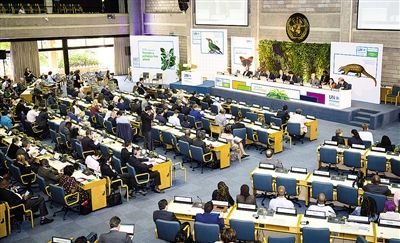 
            	這是12月6日在肯尼亞首都內(nèi)羅畢拍攝的第三屆聯(lián)合國環(huán)境大會閉幕大會現(xiàn)場。新華社記者 呂帥 攝為期3天的第三屆聯(lián)合國環(huán)境大會6日在肯尼亞首都內(nèi)羅畢的聯(lián)合國環(huán)境規(guī)劃署總部閉幕