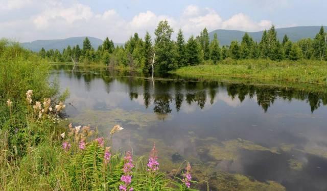 　　記者從安徽合肥市水務(wù)局了解到，巢湖市入河排污口整治工作取得階段性成效，市域內(nèi)13個(gè)規(guī)模以上排污口全部登記建檔。另外，合肥市正加強(qiáng)全市入河排污監(jiān)測管理，2018年將實(shí)現(xiàn)規(guī)模以上入河排污監(jiān)測全覆蓋