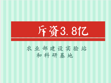 
            	近年來，農(nóng)業(yè)經(jīng)濟(jì)呈現(xiàn)穩(wěn)中向優(yōu)、穩(wěn)中向新、穩(wěn)中向綠的發(fā)展態(tài)勢(shì)，產(chǎn)業(yè)結(jié)構(gòu)進(jìn)一步調(diào)優(yōu)，新的增長動(dòng)能加快成長。中國農(nóng)業(yè)部實(shí)驗(yàn)室及科研基地作為農(nóng)業(yè)領(lǐng)域發(fā)展“總指揮官”，對(duì)全國農(nóng)業(yè)產(chǎn)業(yè)提質(zhì)增效發(fā)揮著尤為關(guān)鍵的引擎作用，因此，對(duì)全國各地實(shí)驗(yàn)站和科研基地的硬件完善十分必要