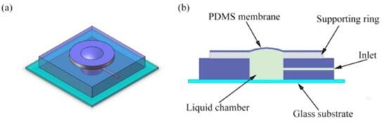 
            	微型變焦透鏡具有體積小、成本低、變焦速度快、易加工等特點，可廣泛應(yīng)用于拍照手機(jī)等便攜式微型光學(xué)系統(tǒng)中，在信息技術(shù)、醫(yī)療衛(wèi)生、空間技術(shù)等領(lǐng)域具有廣泛的應(yīng)用前景。目前，已經(jīng)提出了基于不同機(jī)制的微型變焦透鏡，且部分已實現(xiàn)商業(yè)化