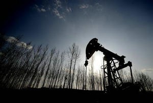 
            	12月8日，海關總署發(fā)布今年前11個月我國進出口統(tǒng)計數(shù)據(jù)。數(shù)據(jù)顯示，前11個月我國原油和天然氣等大宗商品進口量價齊升，其中，進口天然氣6070萬噸，增加26．5％，進口均價為每噸2266．8元，上漲14．2％