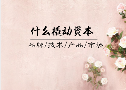 
            	如何評估一家企業(yè)的發(fā)展?jié)摿Γ抠Y本是一個不可或缺的因素。從資本的角度來說，如何能使收益最大化是企業(yè)投資的最終目標(biāo)