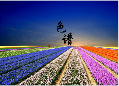 
            	色譜分析是目前最為活躍的分析化學(xué)分支學(xué)科之一，也是物質(zhì)分離分析的重要手段，在環(huán)境、生化、精細化工產(chǎn)品分析等領(lǐng)域的應(yīng)用日益普遍，幾乎在所有的領(lǐng)域都涉及到色譜法及其相關(guān)技術(shù)的應(yīng)用。從經(jīng)典的平板色譜到柱色譜法，從氣相色譜法、高效液相色譜法、超臨界流體色譜法到毛細管電泳和電色譜等，都在科學(xué)研究和工業(yè)生產(chǎn)中發(fā)揮著重要作用