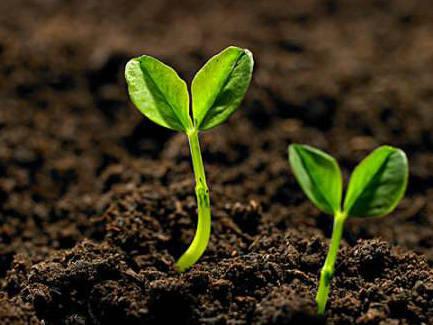 　　和空氣、水一樣，土壤是我們?nèi)祟愘囈陨娴奈镔|(zhì)基礎(chǔ)。然而，近年來(lái)頻繁發(fā)生的土壤污染事件，著實(shí)令人擔(dān)憂