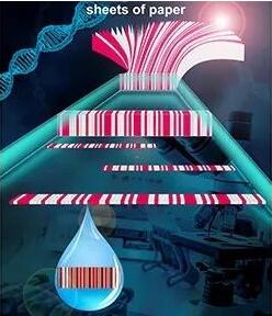 
            	近日，國家納米科學中心蔣興宇研究員、張偉研究員和楊明珠博士通過紙的堆疊和切削加工技術，開發(fā)了一種條碼化紙基芯片的大規(guī)模制造方法和一種可用條碼讀取器進行結(jié)果讀出的多重檢測方法，為傳統(tǒng)材料（紙）的新功能和新應用開發(fā)提供了思路。相關研究成果“Skiving stacked sheets of paper into test paper for rapid and multiplexed assay”被Science Advances雜志于2017年12月1日在線發(fā)表
