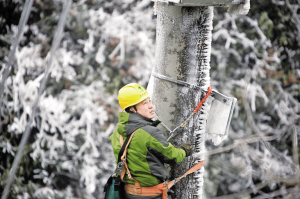 　　1月3日到4日，我國(guó)湖北、安徽、江蘇、湖南、河南、陜西等多地迎來今冬首次大范圍降雪降溫天氣，局部地區(qū)迎來大到暴雪。其中，河南、湖北多地的降水量打破21世紀(jì)以來同期紀(jì)錄