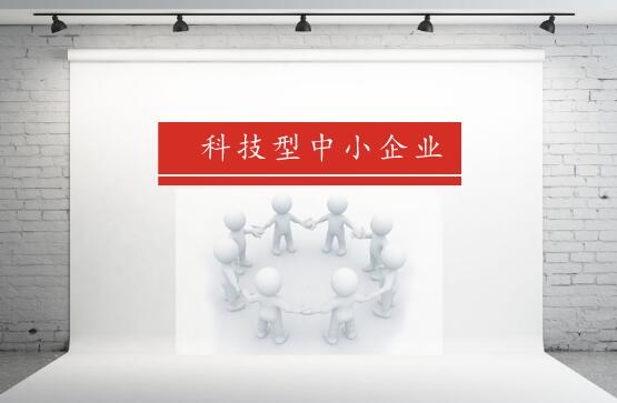 
            	科技型中小企業(yè)是以創(chuàng)新為使命和生存手段的企業(yè)。由科技人員領(lǐng)辦和創(chuàng)辦，主要從事高新技術(shù)產(chǎn)品的科學(xué)研究、研制、生產(chǎn)、銷售，以科技成果商品化以及技術(shù)開發(fā)、技術(shù)服務(wù)、技術(shù)咨詢和高新產(chǎn)品為主要內(nèi)容，是我國科技發(fā)展過程中的一支重要的“主力軍”