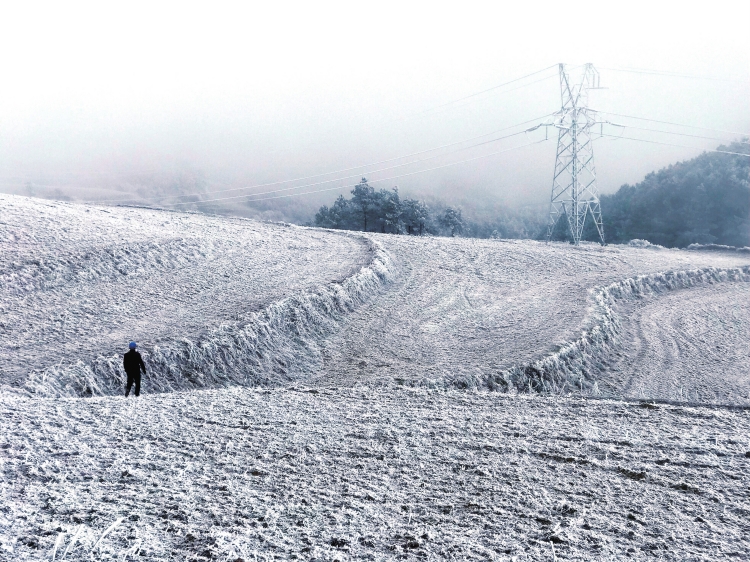 
　　云南昭通氣溫驟降，昭通電網(wǎng)96條線路覆冰。陳斌 攝

　　編者按：近日，云南繼續(xù)大范圍降溫，云南電網(wǎng)公司精心安排部署，保障電網(wǎng)安全運行和電力可靠供應(yīng)