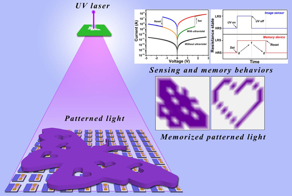 　　近日，中科院半導(dǎo)體所半導(dǎo)體超晶格國家重點(diǎn)實(shí)驗(yàn)室沈國震研究員的研究團(tuán)隊(duì)，與北京科技大學(xué)數(shù)理學(xué)院陳娣教授合作，在柔性人工視覺感知和存儲(chǔ)系統(tǒng)領(lǐng)域中取得新進(jìn)展。  　　人體的視覺系統(tǒng)不僅能夠用來感知外界的光線信息，還能夠?qū)⒏兄降男畔⒋鎯?chǔ)在大腦的神經(jīng)系統(tǒng)中
