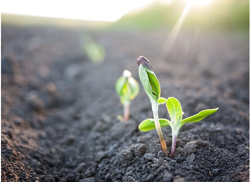 　　土壤環(huán)境質(zhì)量是關(guān)系老百姓安全感和幸福感的要事。近日，浙江省發(fā)布《浙江省土壤污染防治2018年工作計劃》，為2018年的土壤污染防治劃出了明確的任務(wù)書和時間表
