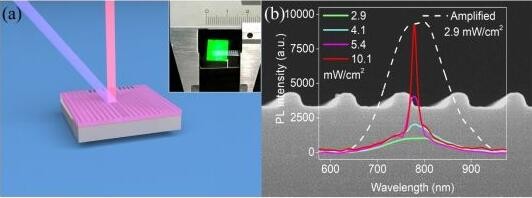 
            	復(fù)旦大學(xué)光科學(xué)與工程系吳翔教授、陸明教授和光源與照明工程系張樹(shù)宇副教授合作團(tuán)隊(duì)，基于所研發(fā)的高增益硅納米晶薄膜，成功研制出世界上首個(gè)全硅激光器。這一成果近期在Science Bulletin以快報(bào)形式報(bào)道