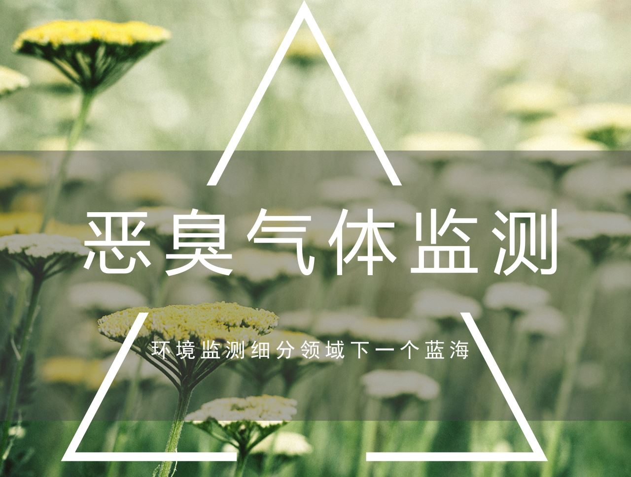 　　說到環(huán)境污染，人們往往比較關(guān)注大氣污染霧霾之類。然而有一種污染卻并不為人們所關(guān)注，但是卻在影響著人們的身心健康，它就是惡臭污染