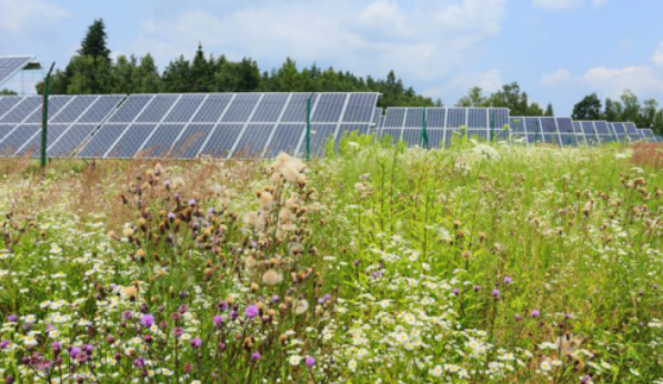 
	中國(guó)儲(chǔ)能網(wǎng)訊：如今，很多企業(yè)從微電網(wǎng)產(chǎn)生收入的前景的前景充滿信心，除了與可靠性和恢復(fù)相關(guān)的應(yīng)用以外，有助于第三方和混合所有制模式的興起。


	隨著第三方和混合所有權(quán)的興起，出現(xiàn)了一個(gè)新的商業(yè)模式：微電網(wǎng)即服務(wù)（MaaS）或可靠性即服務(wù)