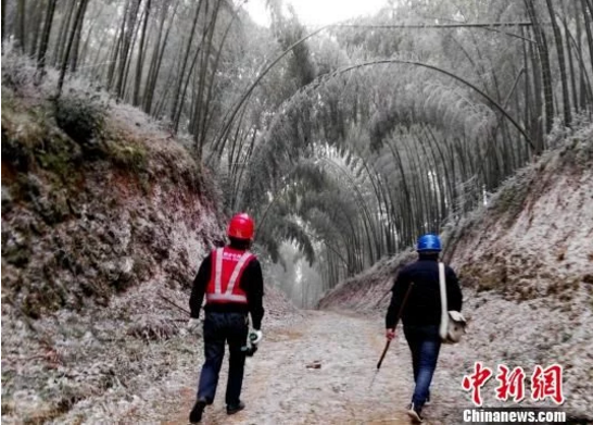 
            	漳平市供電公司雙洋供電所組織工作人員開(kāi)展雪中特巡，上山查看線路覆冰情況。俞婷婷攝29日，福建省漳平市雙洋鎮(zhèn)高海拔的坑源村馬山地區(qū)遭遇大風(fēng)降雪天氣
