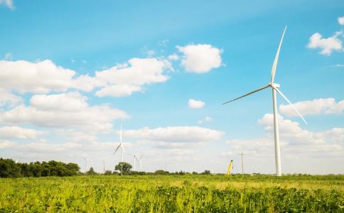 
            	美國風(fēng)電協(xié)會（AWEA）發(fā)布的數(shù)據(jù)顯示，2017年全國風(fēng)電累計裝機(jī)容量89077兆瓦，遍布41個州。據(jù)AWEA介紹，這些風(fēng)電場的產(chǎn)量足以滿足當(dāng)?shù)丶s2600萬戶的需求