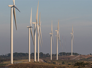 
            	近日，據(jù)美國能源信息署預測，美國風能產(chǎn)生的電力將超過水力發(fā)電。水電曾經(jīng)在美國的可再生能源中占主導地位