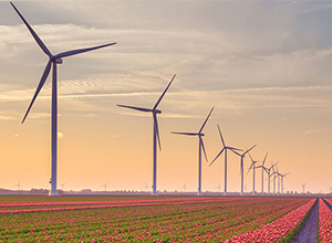 
            	近日，波黑第二大電力公司ERS發(fā)布招標公告征求風電場顧問，以幫助巴爾干國家實現(xiàn)能源多元化，減少溫室氣體排放。波斯尼亞東南部Berkovici的Hrgud風力發(fā)電場將包括16臺風力渦輪機，每臺風力發(fā)電機的容量為3兆瓦