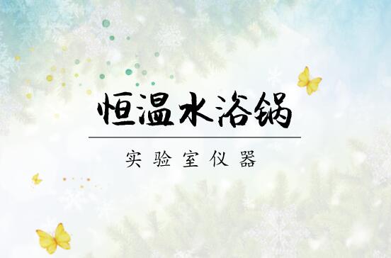 
            	如今，在實驗室、生物制藥、化學(xué)分析等領(lǐng)域，為了得到精準(zhǔn)、有效的實驗結(jié)果，科研工作者對實驗過程中各個環(huán)節(jié)的準(zhǔn)確性需求越來越高，因而，對實驗室儀器設(shè)備的檢測精度和工作效率提出了更高的要求。恒溫水浴鍋面對嚴(yán)格的市場要求，不斷改進(jìn)創(chuàng)新，資本市場日益壯大