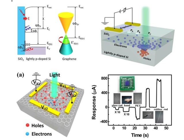 　　近日，東南大學(xué)物理學(xué)院倪振華教授課題組在石墨烯光電器件研究中取得一系列重要進(jìn)展，該課題組提出了一種新穎的界面態(tài)光電增益機(jī)制(Interfacial Amplification Mechanism)，設(shè)計(jì)并實(shí)現(xiàn)了幾種高性能石墨烯光探測器，相關(guān)成果陸續(xù)發(fā)表在光學(xué)領(lǐng)域權(quán)威期刊Light: Science & Applications(2017)(影響因子：14.098)，Optica(2016)(2018)(影響因子：7.727)和電氣與電子工程協(xié)會(IEEE Electron Device Let