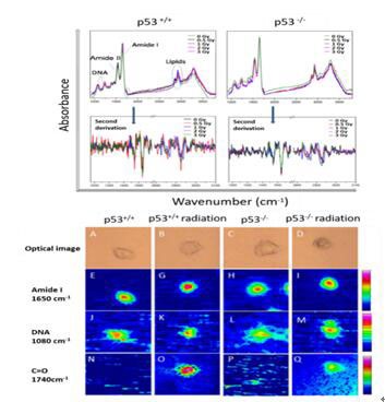 
            	2月8日消息，據(jù)中國(guó)政府采購(gòu)網(wǎng)消息，江西省縣級(jí)食品安全快速檢驗(yàn)車載儀器設(shè)備第二次電子化采購(gòu)項(xiàng)目成功中標(biāo)。中標(biāo)金額為1350.06萬元，中標(biāo)供應(yīng)商是南昌一干通供應(yīng)鏈管理有限公司