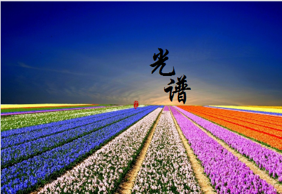 
            	2017年，上海光譜儀器有限公司(“上海光譜”)實現(xiàn)了銷售額同比增長35%，年產(chǎn)量同比增長20%?？梢哉f，這樣喜人的市場成績是品牌國內(nèi)市場與國際市場共同布局的必然結(jié)果，也是企業(yè)過硬的技術(shù)實力和俱佳的市場影響力的有力體現(xiàn)