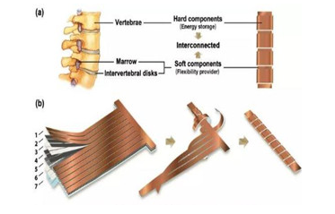 
            	近年來，隨著可穿戴設(shè)備的快速發(fā)展，對可彎曲的柔性電池的需求也快速增加，各種柔性電池的設(shè)計也是層出不窮，但是大多數(shù)柔性電池的設(shè)計都會導(dǎo)致鋰離子電池的能量密度的大幅降低，影響可穿戴設(shè)備的續(xù)航時間。為了解決這一問題，哥倫比亞大學(xué)研究人員受到生物脊骨結(jié)構(gòu)的啟發(fā)，研發(fā)了一款柔性鋰電池，在保證良好的柔性的同時，還保持了高體積能量密度的優(yōu)勢