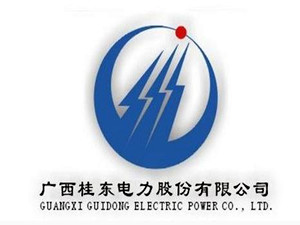 
                
	
                    
	據(jù)了解，去年10月，因國家加強對燃煤發(fā)電的管控，桂東電力總投資近30億元的“賀州市鋁電子產(chǎn)業(yè)動力車間項目(煤電項目)”遭到國家發(fā)改委的緊急叫停。2月24日，公司披露了該項目被叫停后的進展