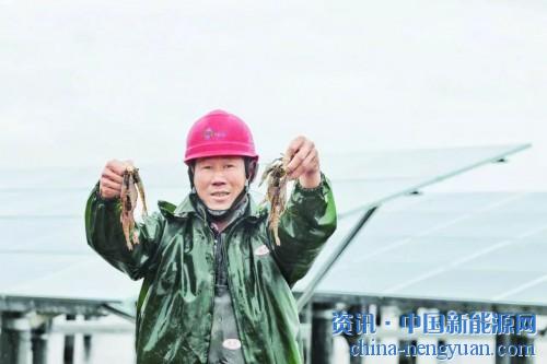                                                                                                                                                 
	　　“水田飛白鷺”是詩里的水鄉(xiāng)意境，如今，在廣東汕尾的赤坑鎮(zhèn)，藍(lán)色光伏板和水面的呼應(yīng)之處，隨處可見白鷺，構(gòu)成人工和自然和諧相處的詩中美景。

	　　隨著光伏行業(yè)的不斷發(fā)展創(chuàng)新，漁光互補(bǔ)模式已在多