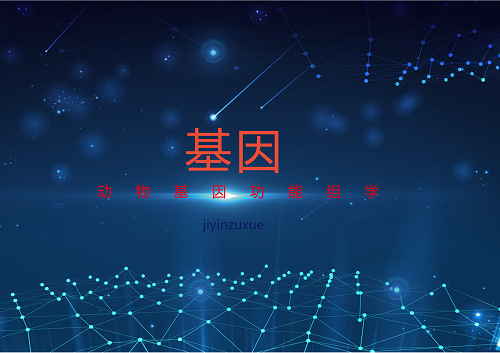 
            	2018年伊始，《Nature Biotechnology》上發(fā)布的一項(xiàng)研究報(bào)告稱，科學(xué)家們使用一部手機(jī)大小的測(cè)序儀 MinION ，完成了對(duì)人類基因組的測(cè)序。該儀器上的基因測(cè)序通過識(shí)別DNA單個(gè)分子在流過納米孔膜時(shí)流量的變化實(shí)現(xiàn)，每次可讀取一百萬個(gè)DNA字母