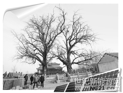 近年來，在美麗鄉(xiāng)村建設(shè)中，市中區(qū)西王莊鎮(zhèn)付劉耀村、陳劉耀村除了搞好村子的基礎(chǔ)建設(shè)和村容村貌之外，還創(chuàng)新光伏扶貧新模式，黨建+助力精準(zhǔn)扶貧，使村子變得越來越美麗。



在付劉耀村村口，兩棵有兩千多年樹齡的銀杏樹，彰顯著這個(gè)村子的不平凡