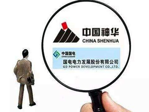 
                
	
                    
	3月1日晚間，中國神華發(fā)布公告顯示，公司擬以其持有的相關(guān)火電公司股權(quán)及資產(chǎn)與國電電力以其持有的相關(guān)火電公司股權(quán)及資產(chǎn)共同組建合資公司，中國神華持有合資公司42.53%股權(quán)，國電電力持有合資公司57.47%股權(quán)。

	

	公告顯示，雙方擬組建合資公司注冊地為北京市朝陽區(qū)，注冊資本100億元，其中，中國神華出資額為42.53億元，國電電力出資額為57.47億元