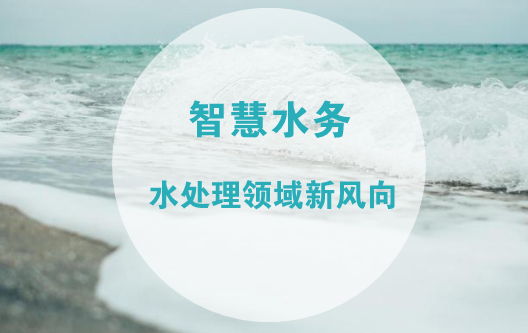 　　隨著物聯(lián)網(wǎng)技術(shù)的蓬勃發(fā)展，傳統(tǒng)產(chǎn)業(yè)形態(tài)和人們的生活方式發(fā)生了改變，也催生了與民生息息相關(guān)的供水供電行業(yè)的管理模式不斷向智能化、網(wǎng)絡(luò)化轉(zhuǎn)變。業(yè)界普遍認(rèn)為，智慧水務(wù)解決方案可以幫助水務(wù)公司及時(shí)發(fā)現(xiàn)管網(wǎng)漏損，降低漏損帶來的經(jīng)濟(jì)損失，減少管網(wǎng)漏損的管理成本