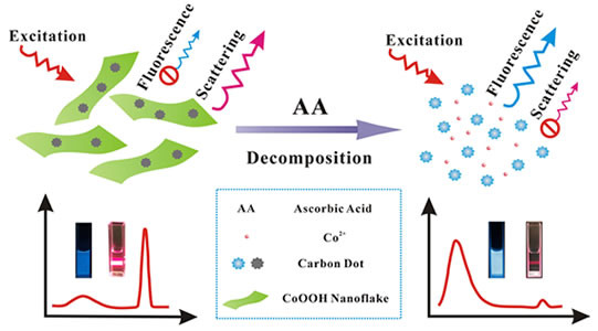 　　近日，西南大學化學化工學院羅紅群和李念兵教授課題組在共振散射和熒光分析研究方面取得重要進展，相關(guān)研究成果以“Size-dependent modulation of fluorescence and light scattering: a new strategy for development of ratiometric sensing”為題發(fā)表在英國皇家化學學會下化學材料領(lǐng)域知名期刊Materials Horizons上，該期刊影響因子10.706。西南大學為該成果的第一